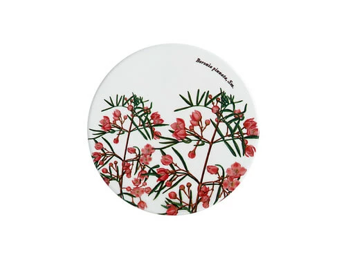 Royal Botanic Gardens Victoria Ceramic Round Coaster 9.5cm Boronia 1 Royal Botanic Gardens Victoria Ceramic Round Coaster 9.5cm Boronia