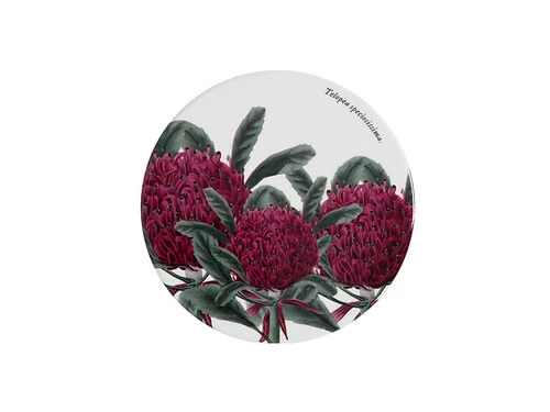 Royal Botanic Gardens Victoria Ceramic Round Coaster 9.5cm Telopea 1 Royal Botanic Gardens Victoria Ceramic Round Coaster 9.5cm Telopea